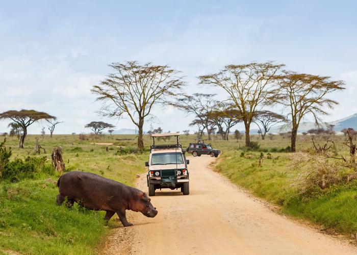 Tanzania Cultural Wildlife Hiking